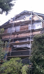 IMAG0470